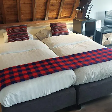 Museumkwartier סכידאם