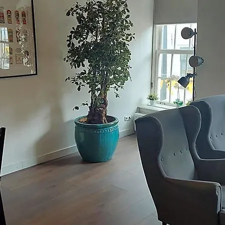Bed & Breakfast Museumkwartier Schiedam