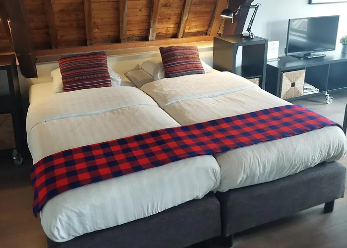 Museumkwartier Schiedam